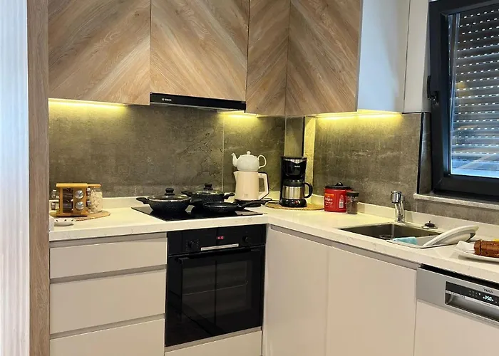 Leos Apart2 * 시데